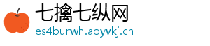 七擒七纵网